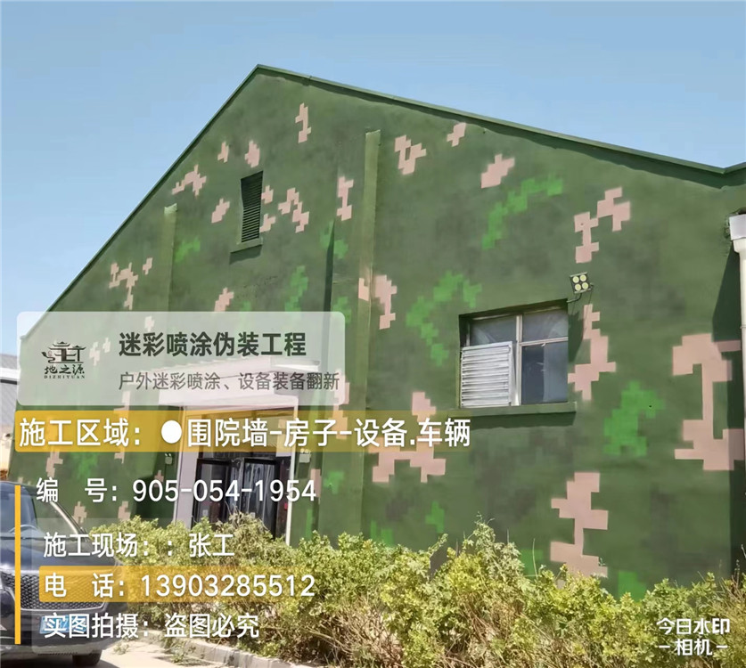 安阳外墙数码迷彩漆施工报价清单（100㎡标准墙面测算）